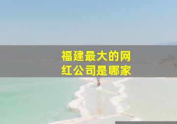 福建最大的网红公司是哪家