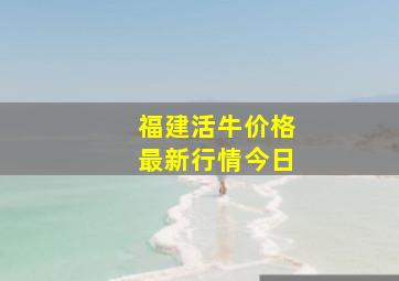 福建活牛价格最新行情今日