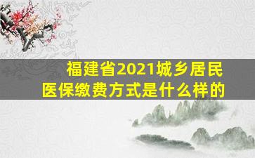 福建省2021城乡居民医保缴费方式是什么样的