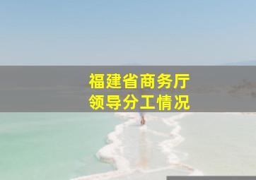 福建省商务厅领导分工情况