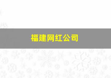 福建网红公司