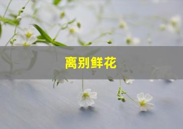 离别鲜花