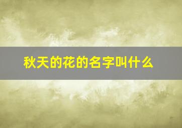 秋天的花的名字叫什么