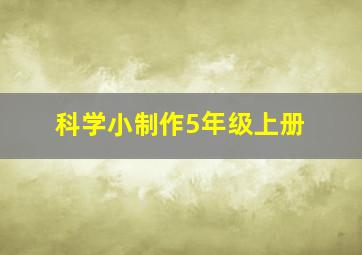 科学小制作5年级上册