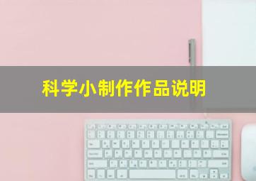 科学小制作作品说明