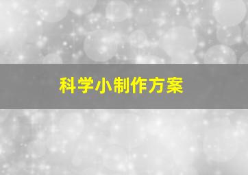 科学小制作方案