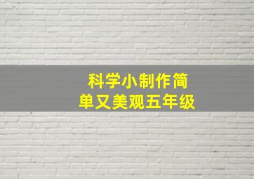 科学小制作简单又美观五年级