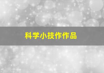 科学小技作作品