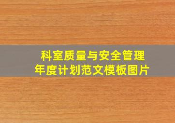 科室质量与安全管理年度计划范文模板图片