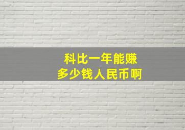 科比一年能赚多少钱人民币啊