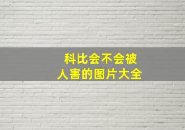 科比会不会被人害的图片大全