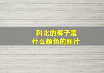 科比的裤子是什么颜色的图片