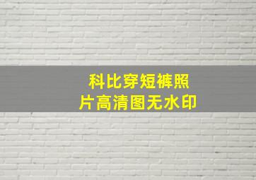 科比穿短裤照片高清图无水印