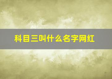 科目三叫什么名字网红