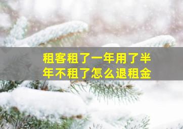 租客租了一年用了半年不租了怎么退租金