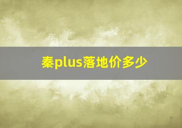 秦plus落地价多少