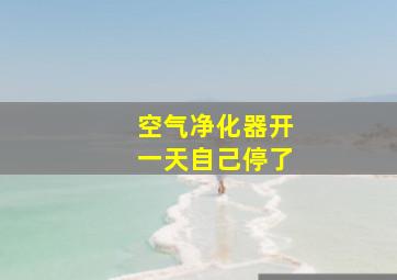 空气净化器开一天自己停了