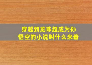 穿越到龙珠超成为孙悟空的小说叫什么来着