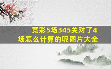 竞彩5场345关对了4场怎么计算的呢图片大全