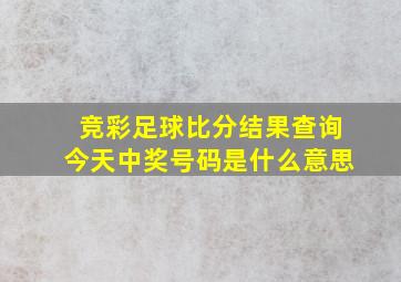 竞彩足球比分结果查询今天中奖号码是什么意思