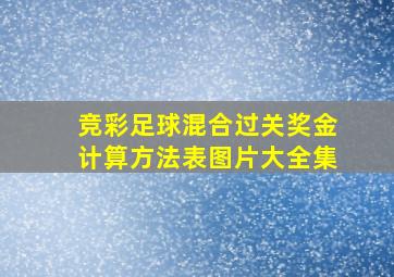 竞彩足球混合过关奖金计算方法表图片大全集