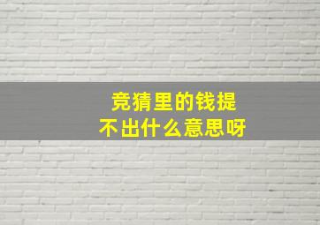 竞猜里的钱提不出什么意思呀