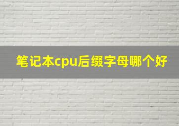 笔记本cpu后缀字母哪个好