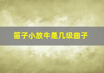 笛子小放牛是几级曲子