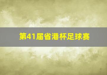 第41届省港杯足球赛