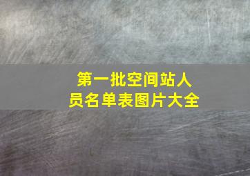 第一批空间站人员名单表图片大全