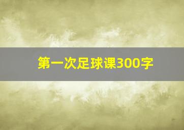 第一次足球课300字