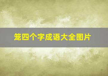 笼四个字成语大全图片