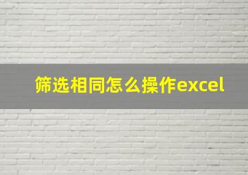 筛选相同怎么操作excel