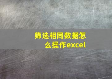 筛选相同数据怎么操作excel