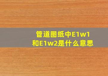 管道图纸中E1w1和E1w2是什么意思