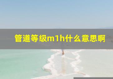 管道等级m1h什么意思啊