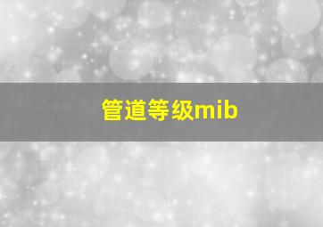 管道等级mib