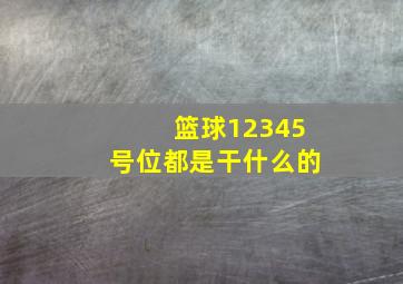 篮球12345号位都是干什么的