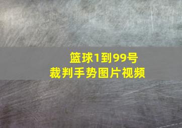 篮球1到99号裁判手势图片视频