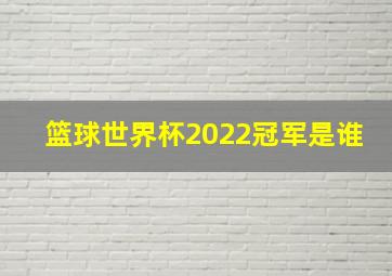 篮球世界杯2022冠军是谁