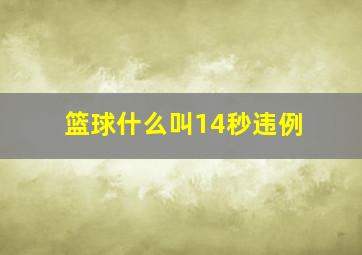 篮球什么叫14秒违例