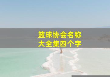 篮球协会名称大全集四个字