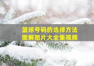 篮球号码的选择方法图解图片大全集视频