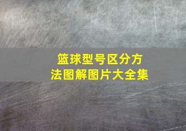 篮球型号区分方法图解图片大全集