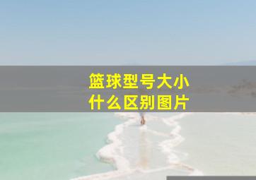 篮球型号大小什么区别图片