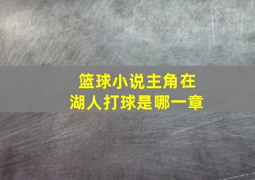 篮球小说主角在湖人打球是哪一章