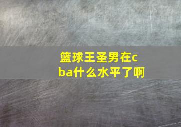 篮球王圣男在cba什么水平了啊