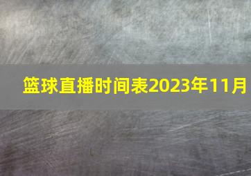 篮球直播时间表2023年11月