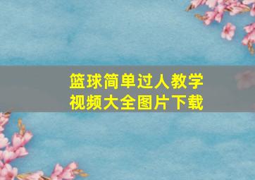 篮球简单过人教学视频大全图片下载