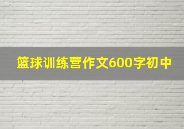 篮球训练营作文600字初中